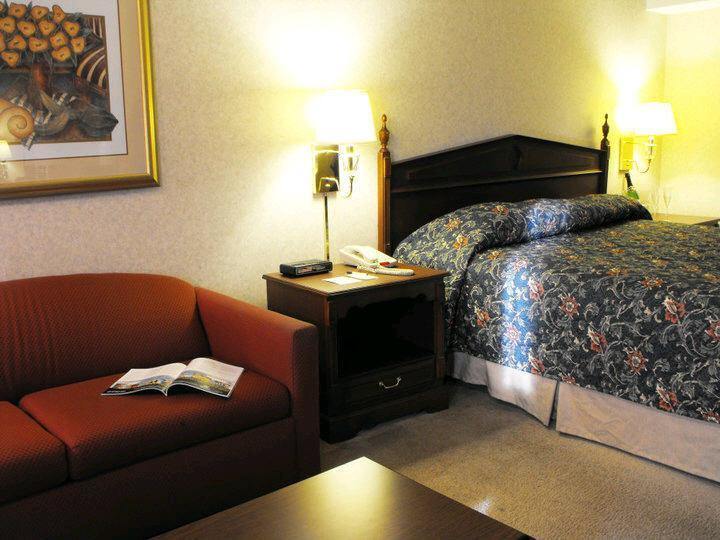 Business King Room