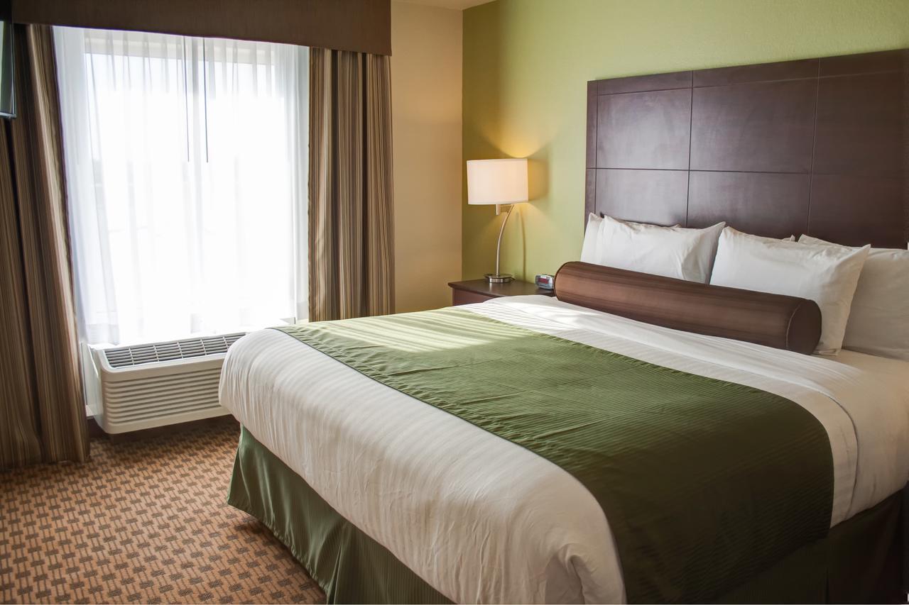 One-Bedroom Suite