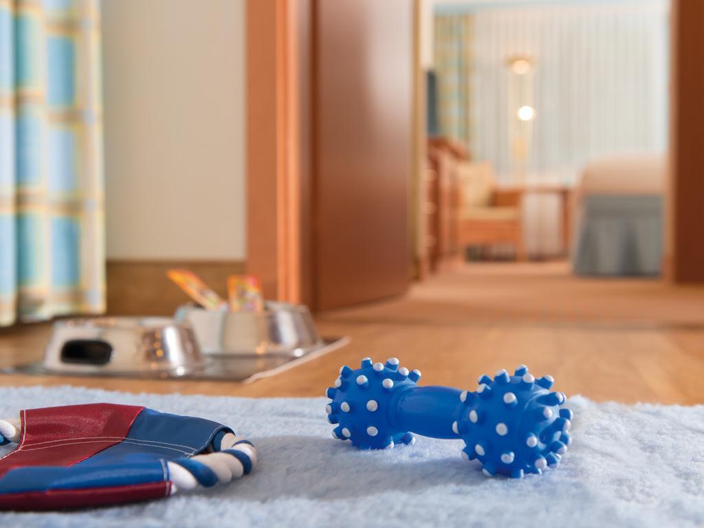 Double Room for Dog Owners