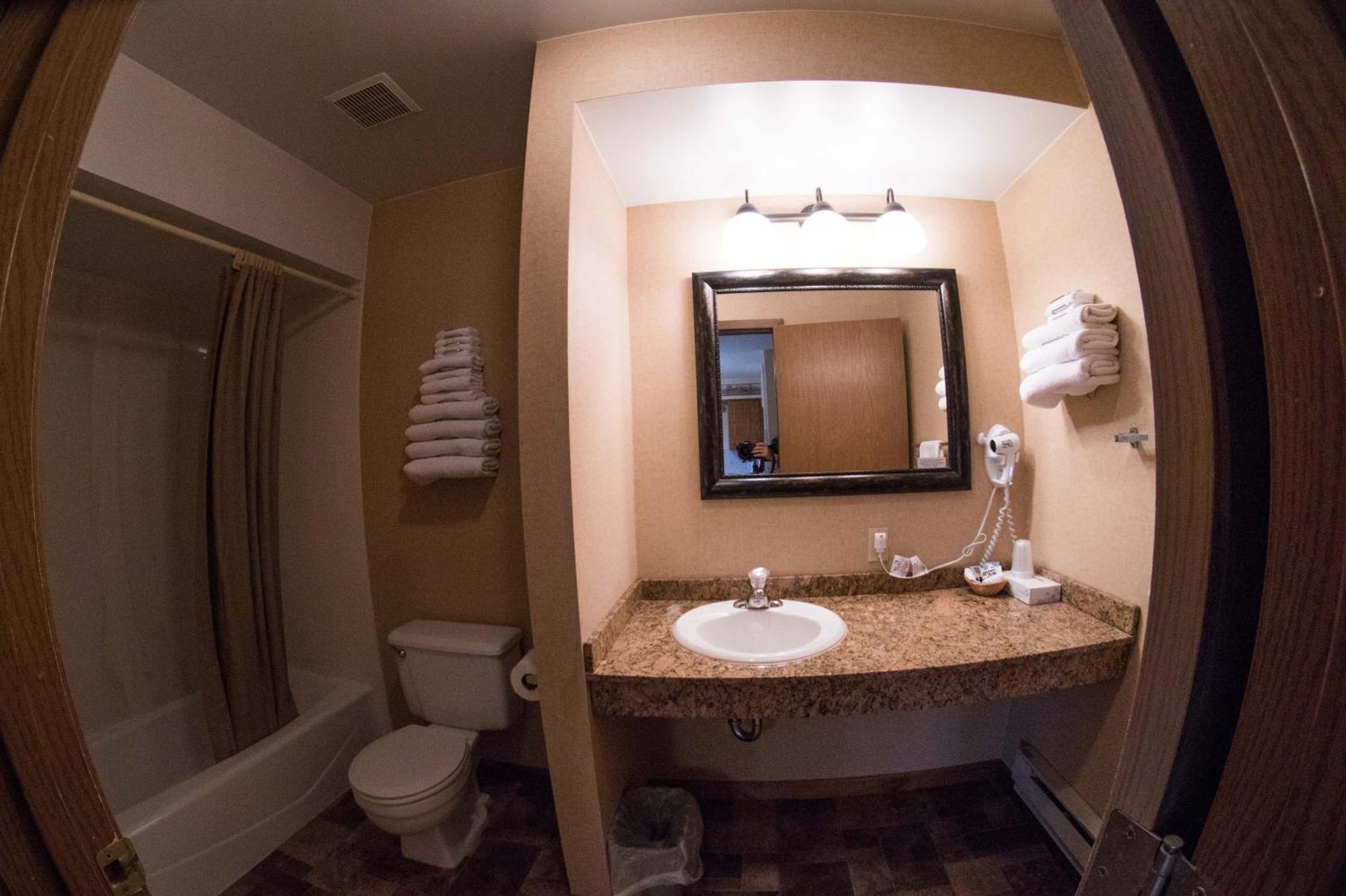 Two-Bedroom Suite Kitchenette