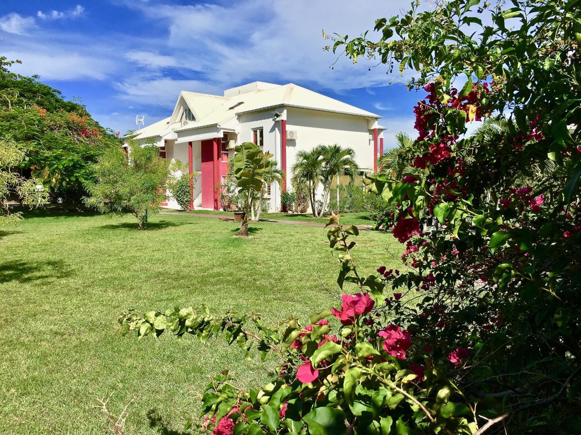 Studio Terrace