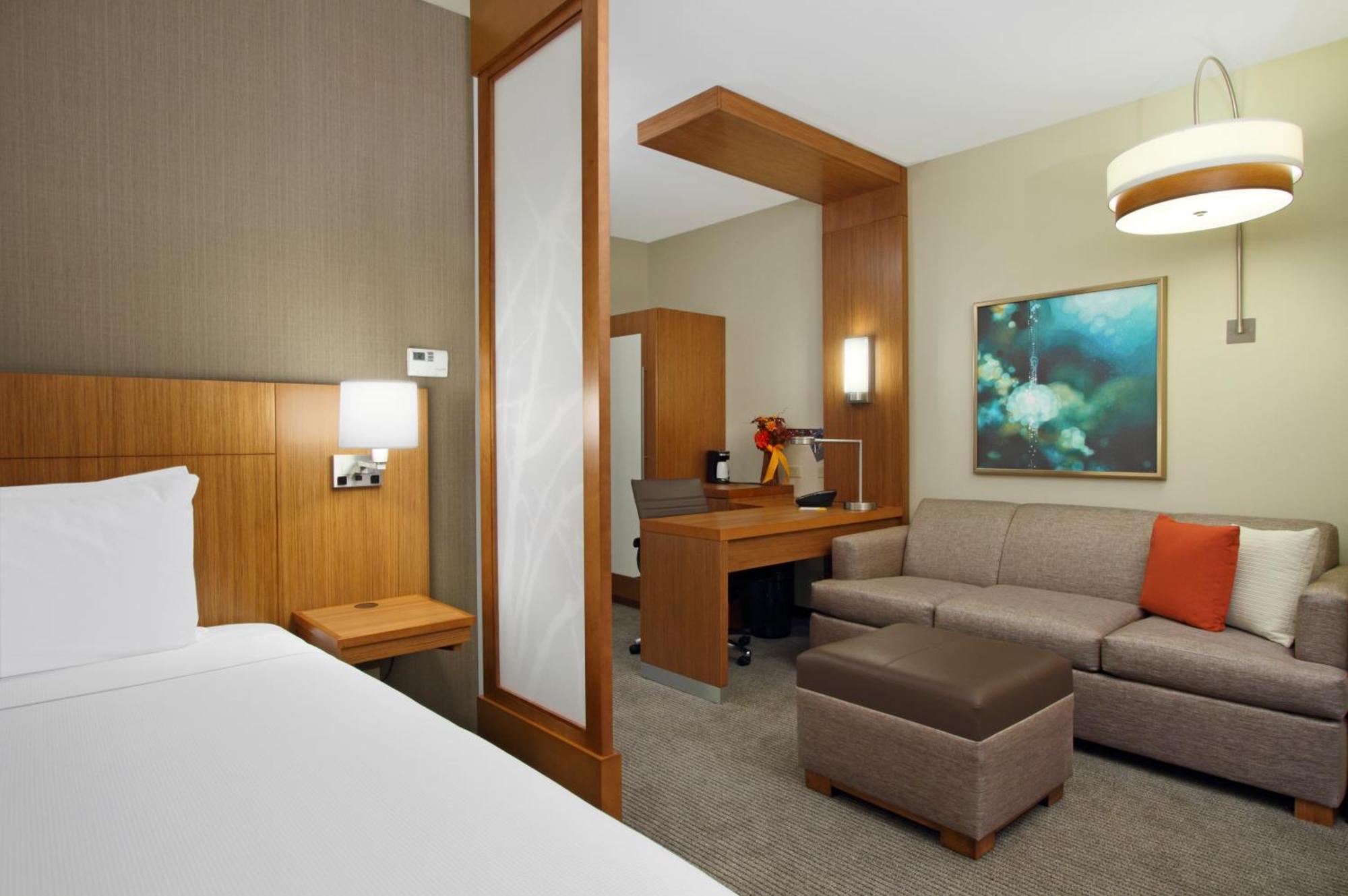 King Room Sofa Bed