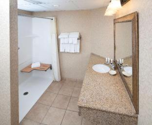 King Room Roll Shower Disability Access