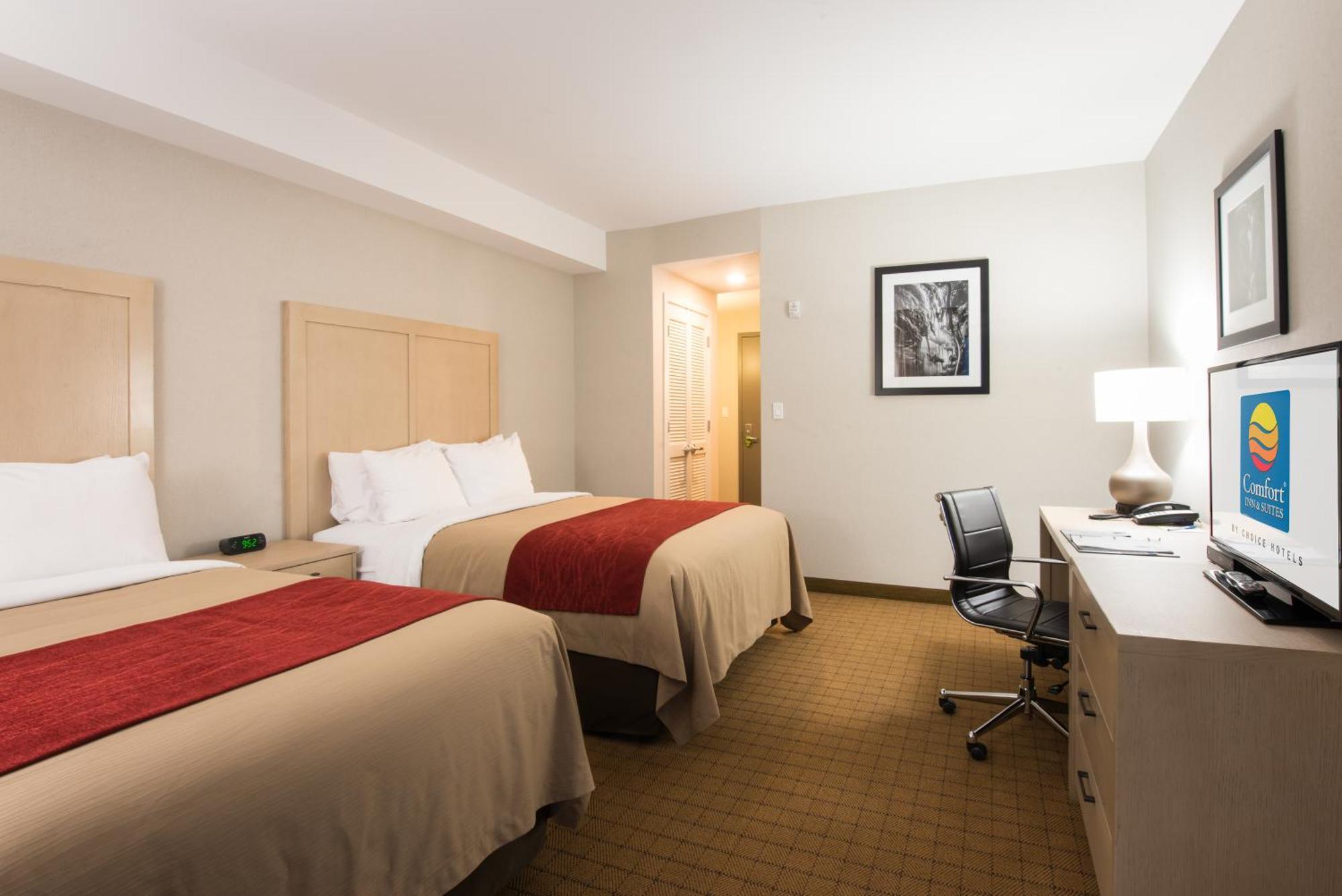 Standard Queen Room Two Queen Beds