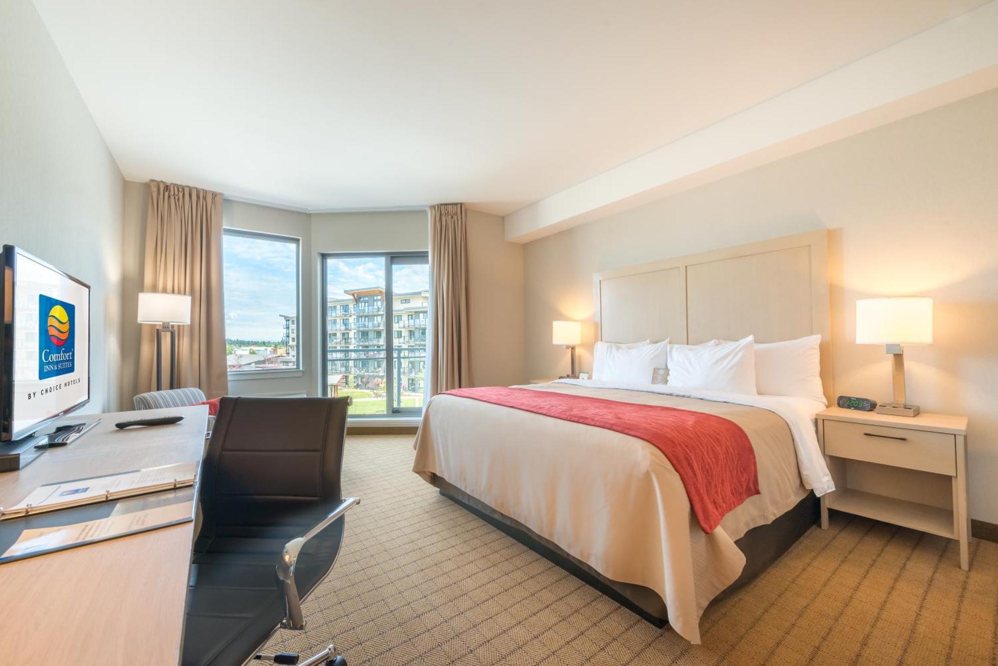 Standard King Room
