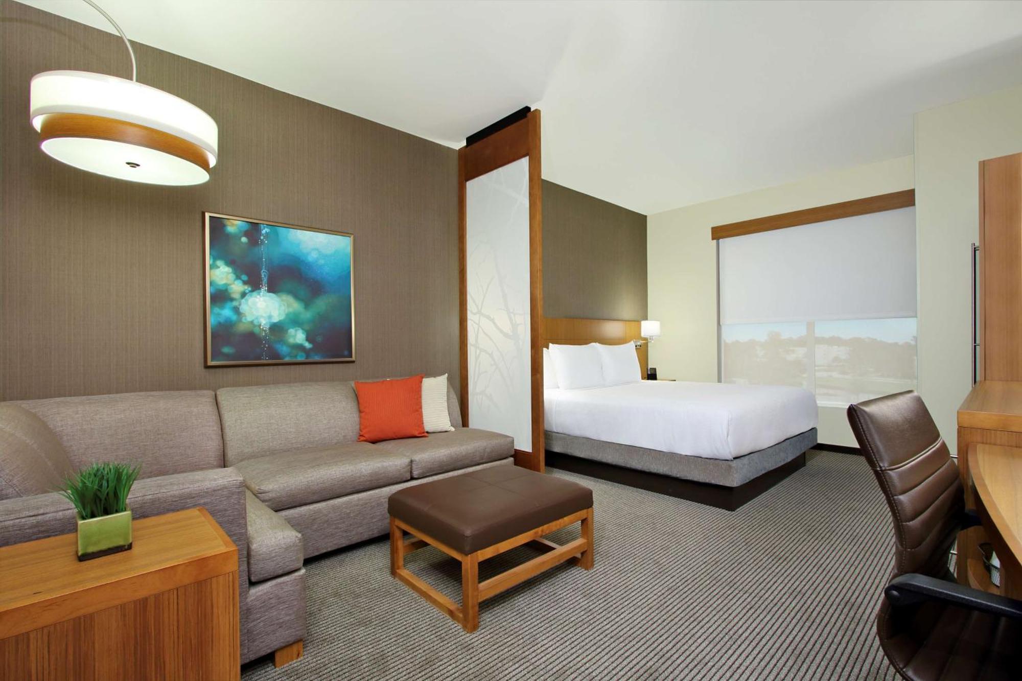 King Room Sofa Bed
