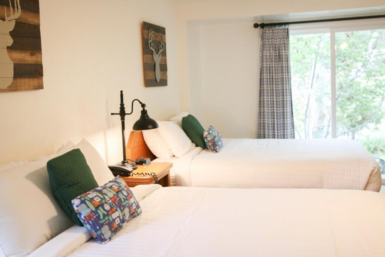 Double Room Mountain View