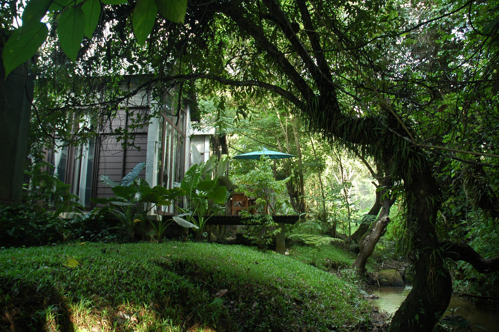 Honeymoon Villa