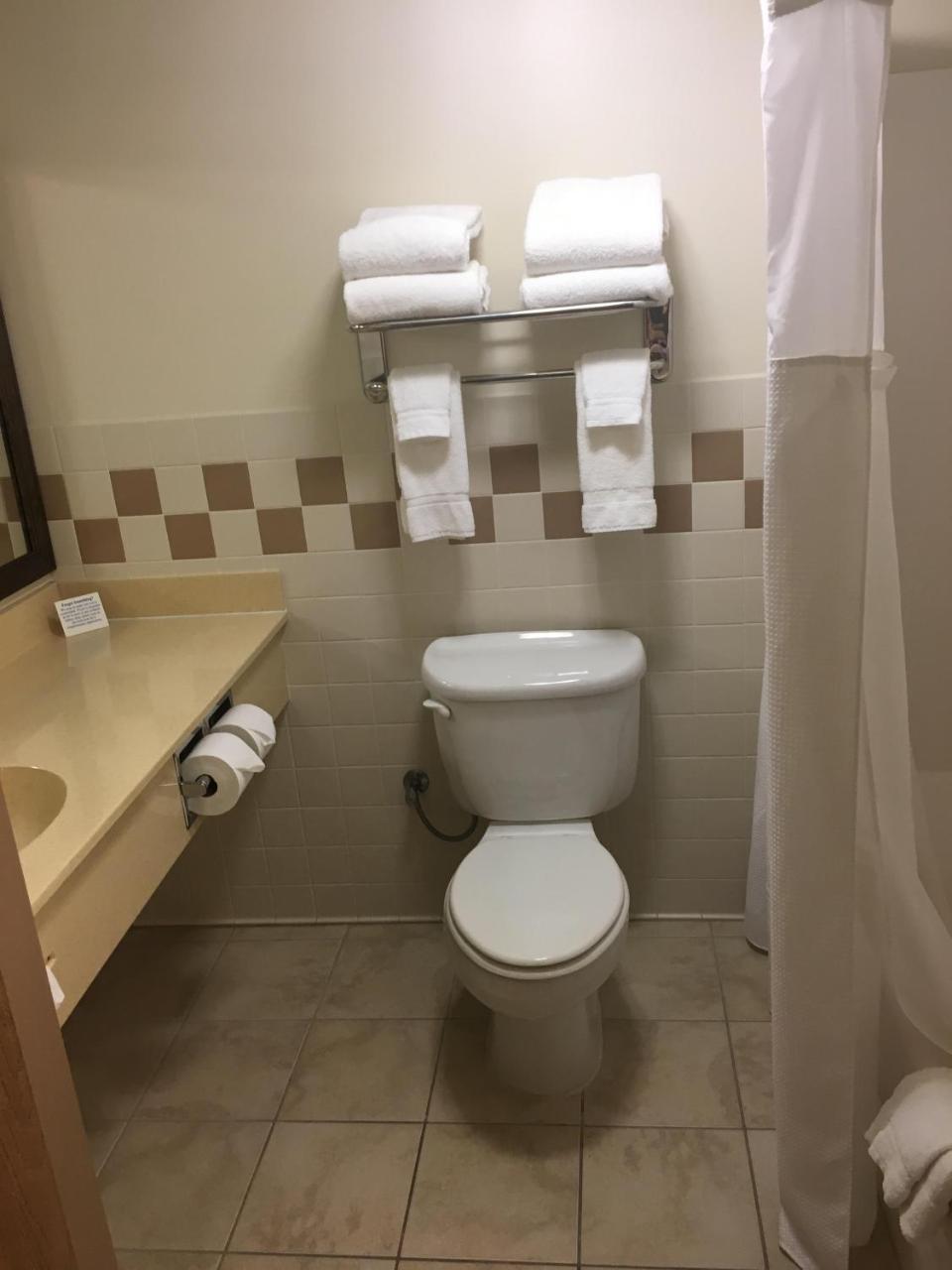 Premier King Studio Suite Jetted Tub Non-Smoking