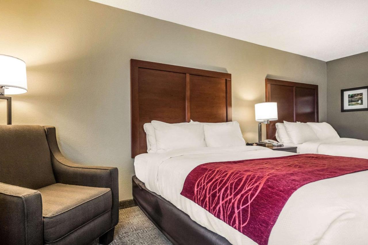 Standard Queen Room with Two Queen Beds
