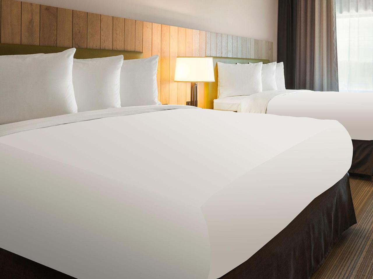 Queen Room with Two Queen Beds - Disability Access/Non-Smoking
