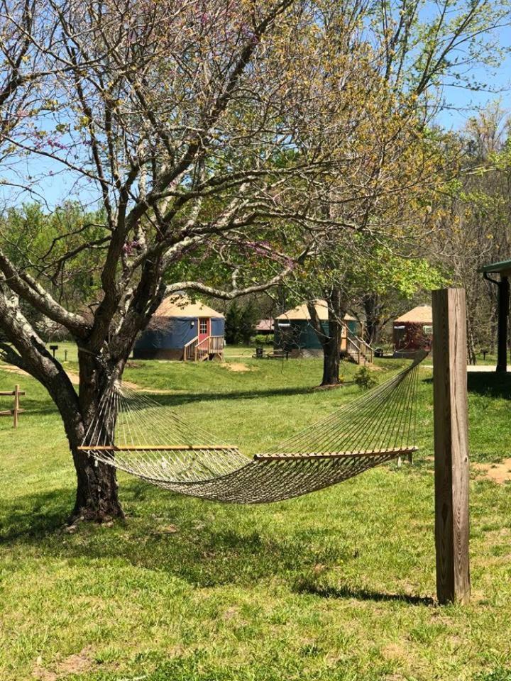 Falling Leaf Yurt 1