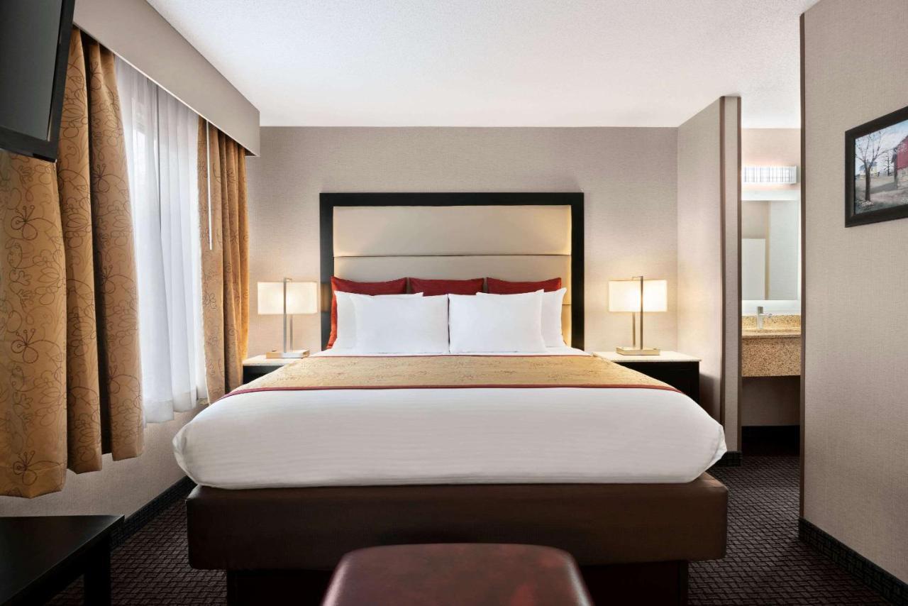 Queen Suite with Sofa Bed  - Disability Access