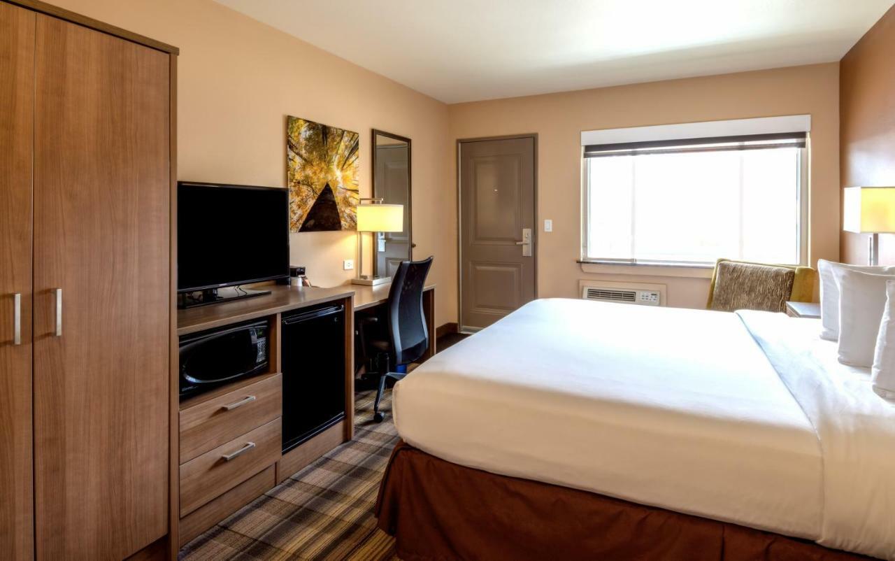 Superior King Room,779445942:JPEG
