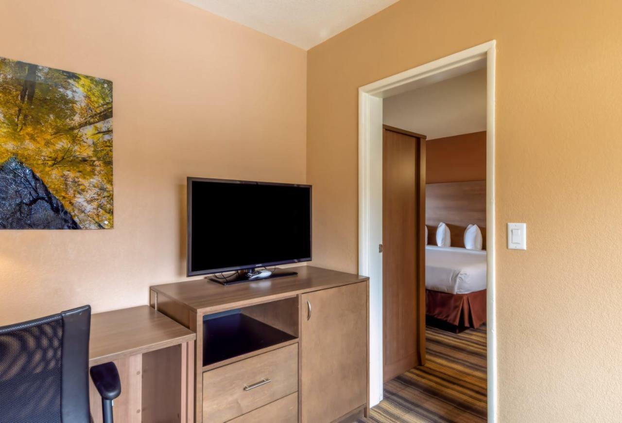 Junior Suite,779444970:JPEG