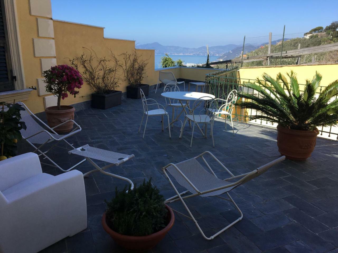 Junior Suite Terrace