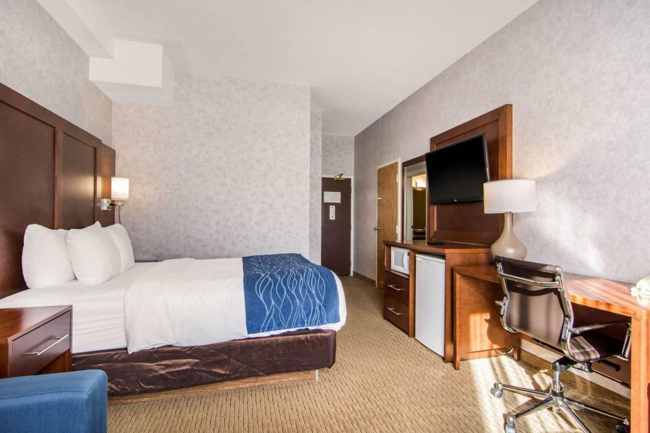 Queen Room Non-Smoking or Pet Friendly
