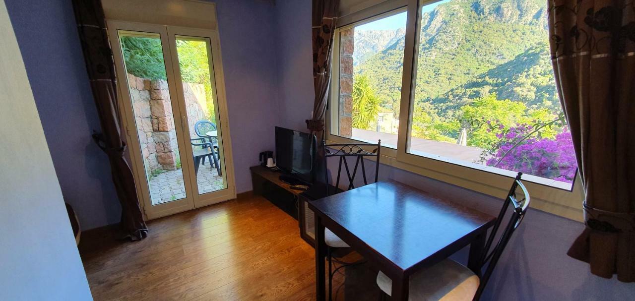 Premium Double Room Terrace indoor patio view