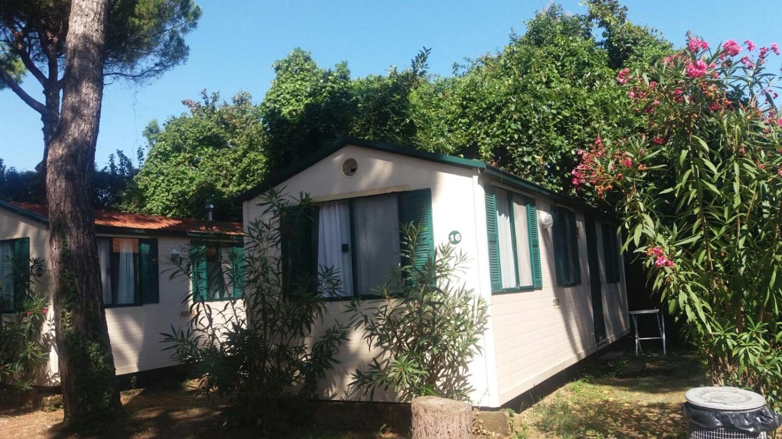 Mobile Home