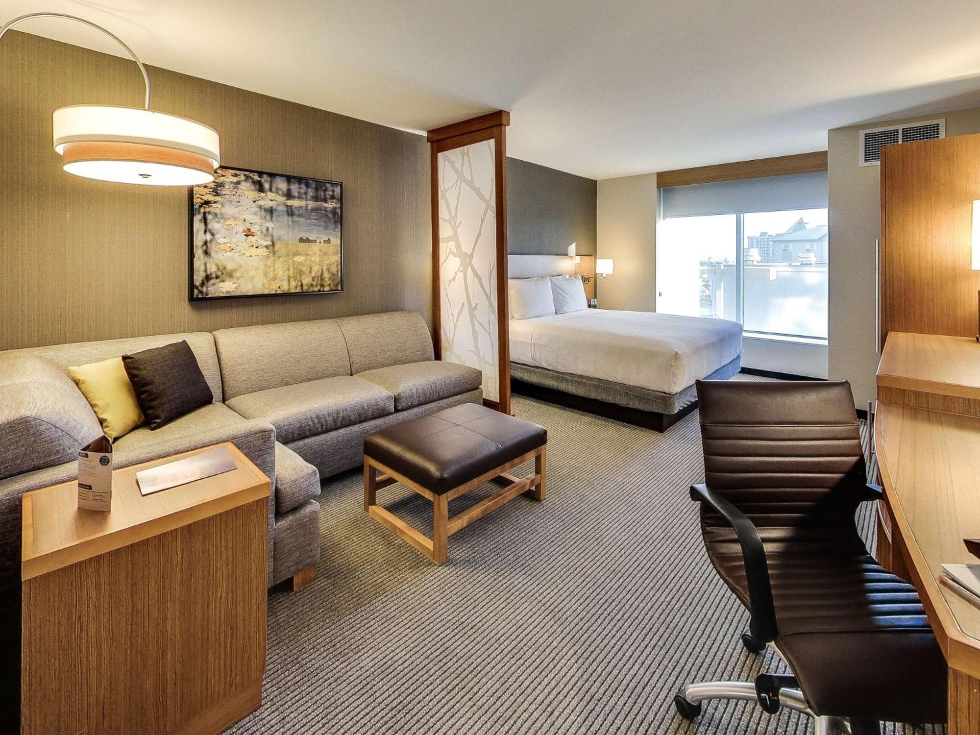 King Room Sofa Bed