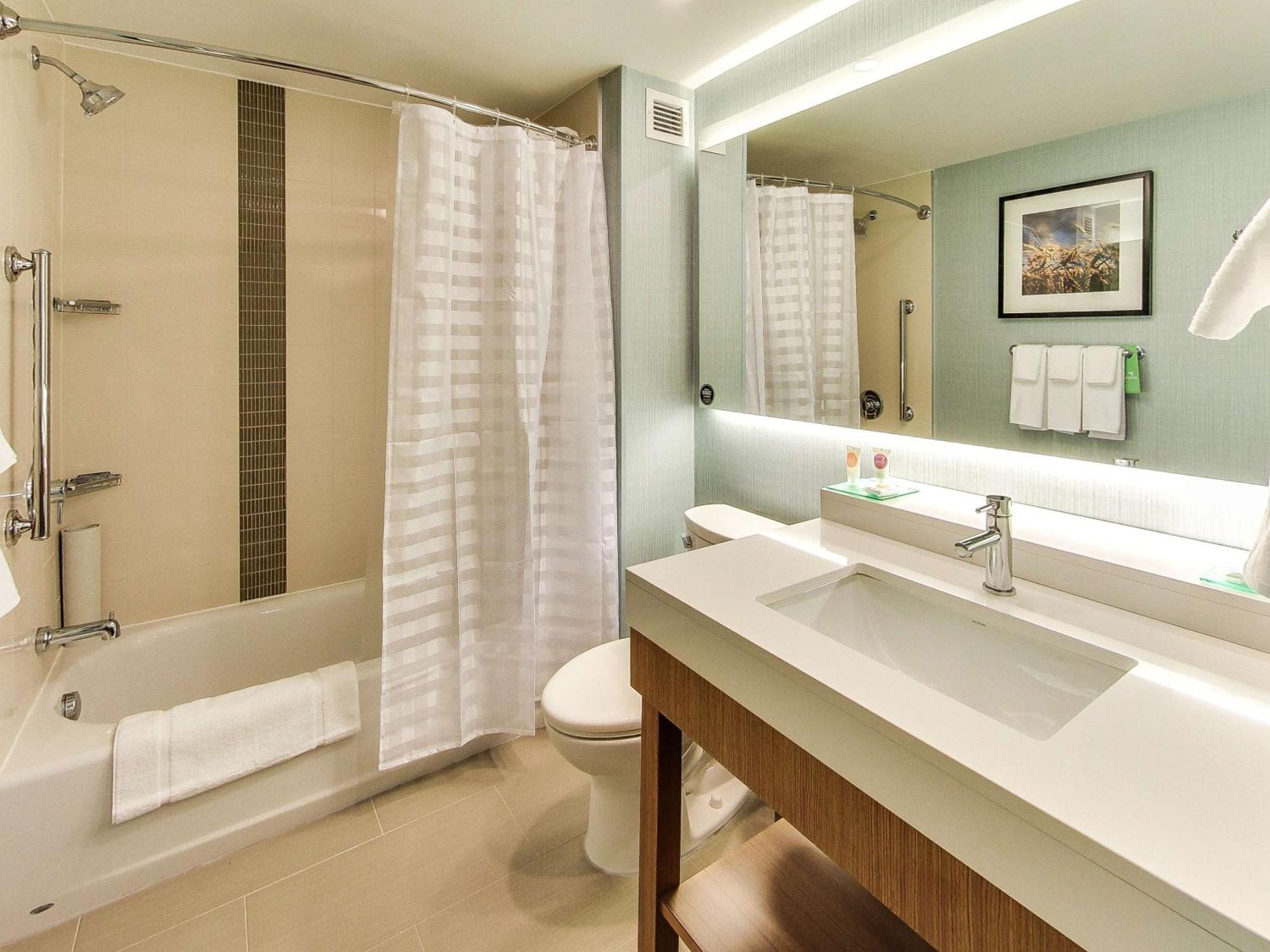 King Room Sofa Bed Roll Shower Disability Access