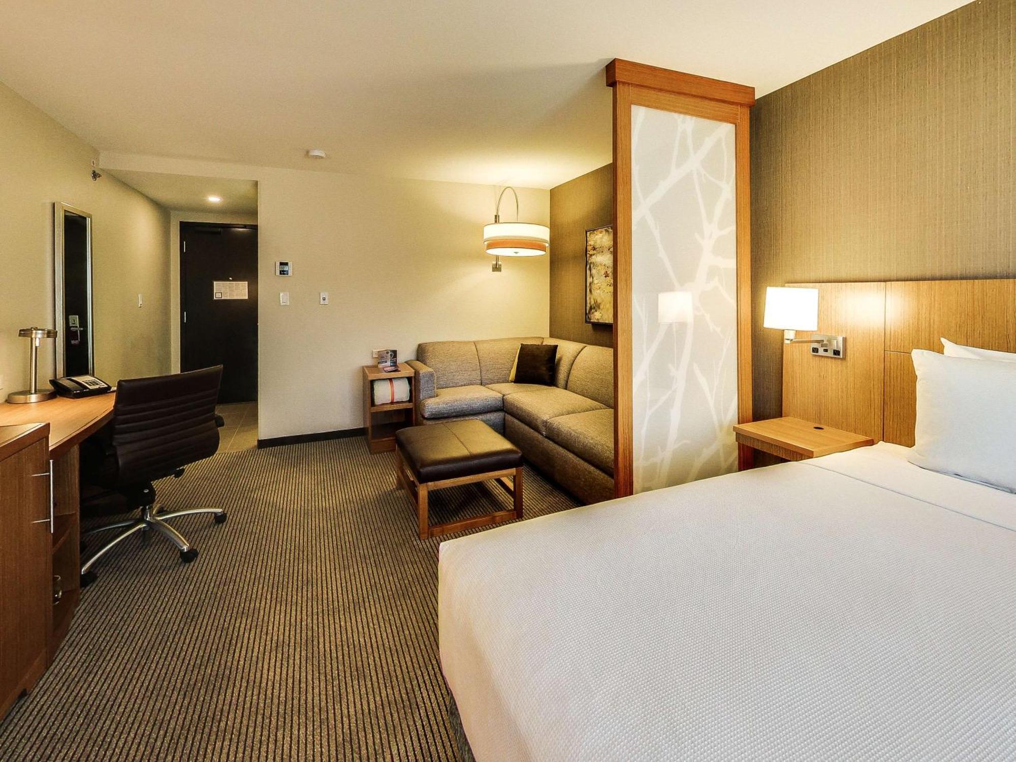 King Room Sofa Bed