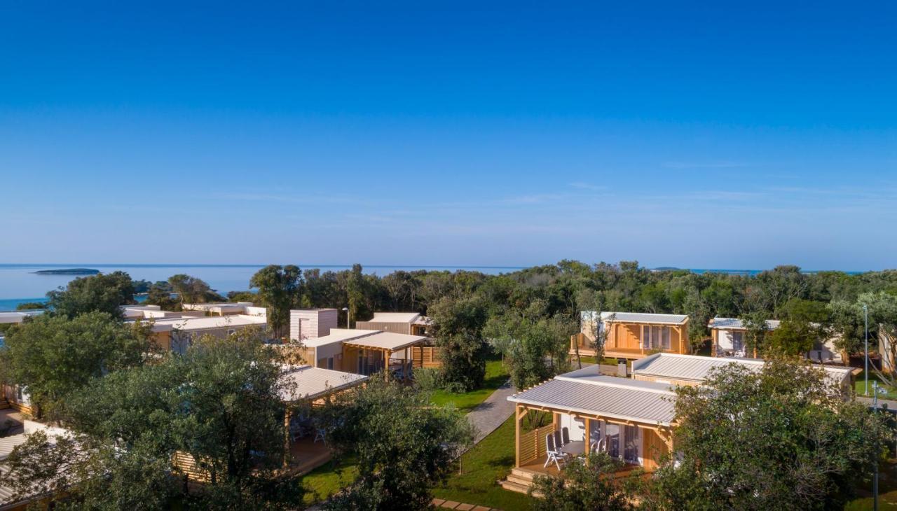 Casa Mobile con 2 Camere da Letto - Forest Escape