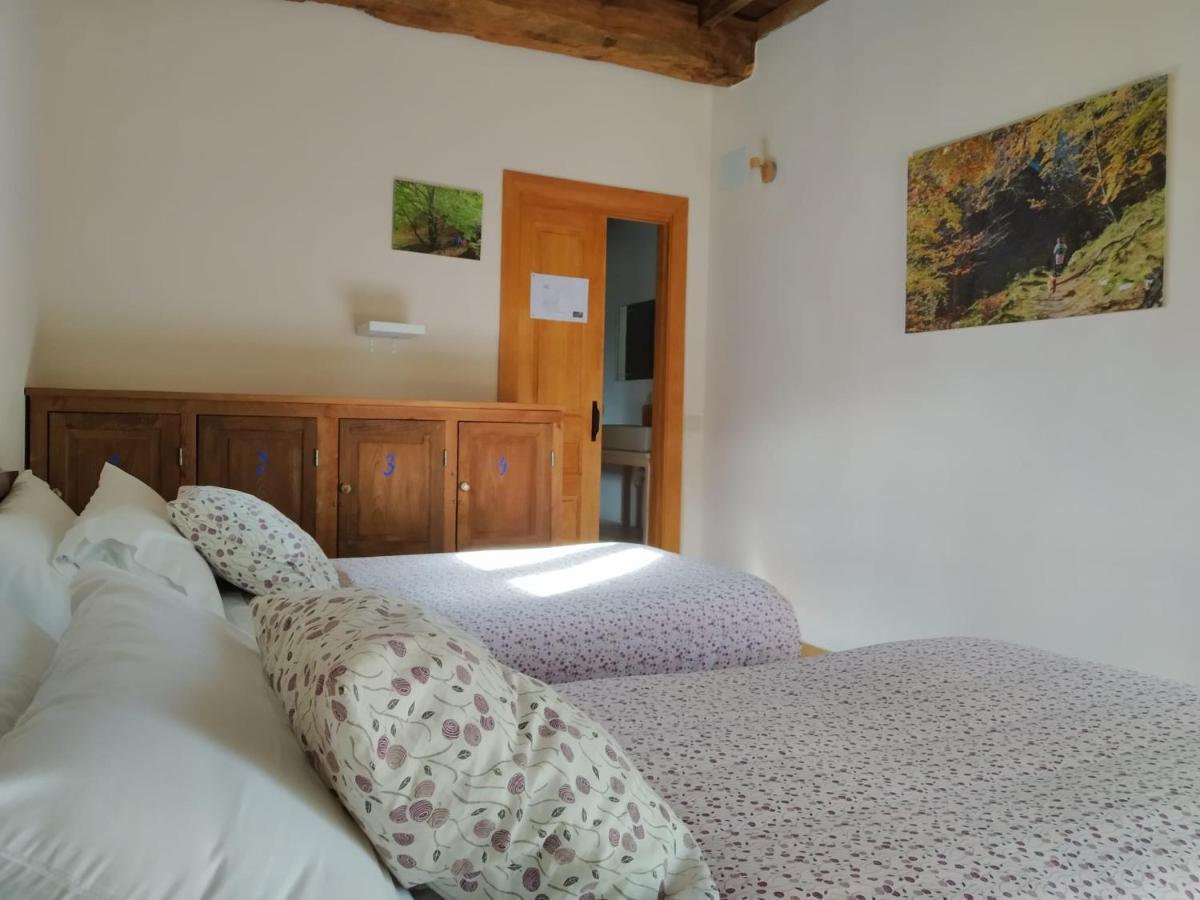 Twin Room Terrace,946854157:JPEG