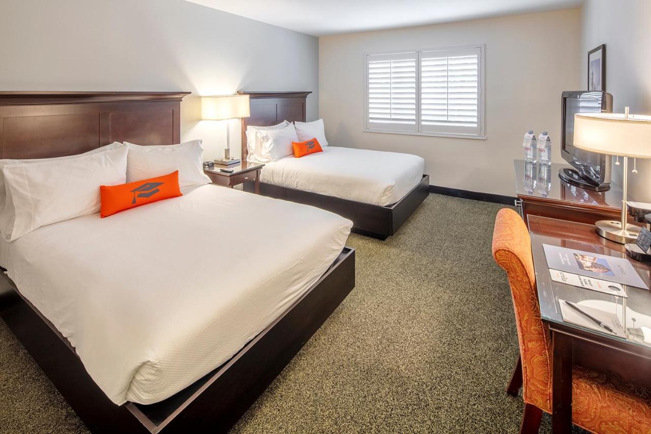 2 Double Beds Non-Smoking,1227682637:JPEG