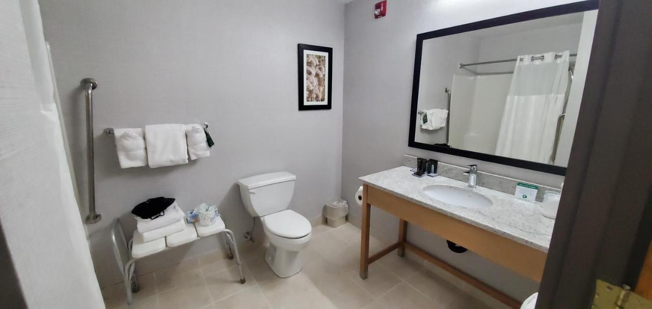 King Suite Mobility Access or Non-Smoking
