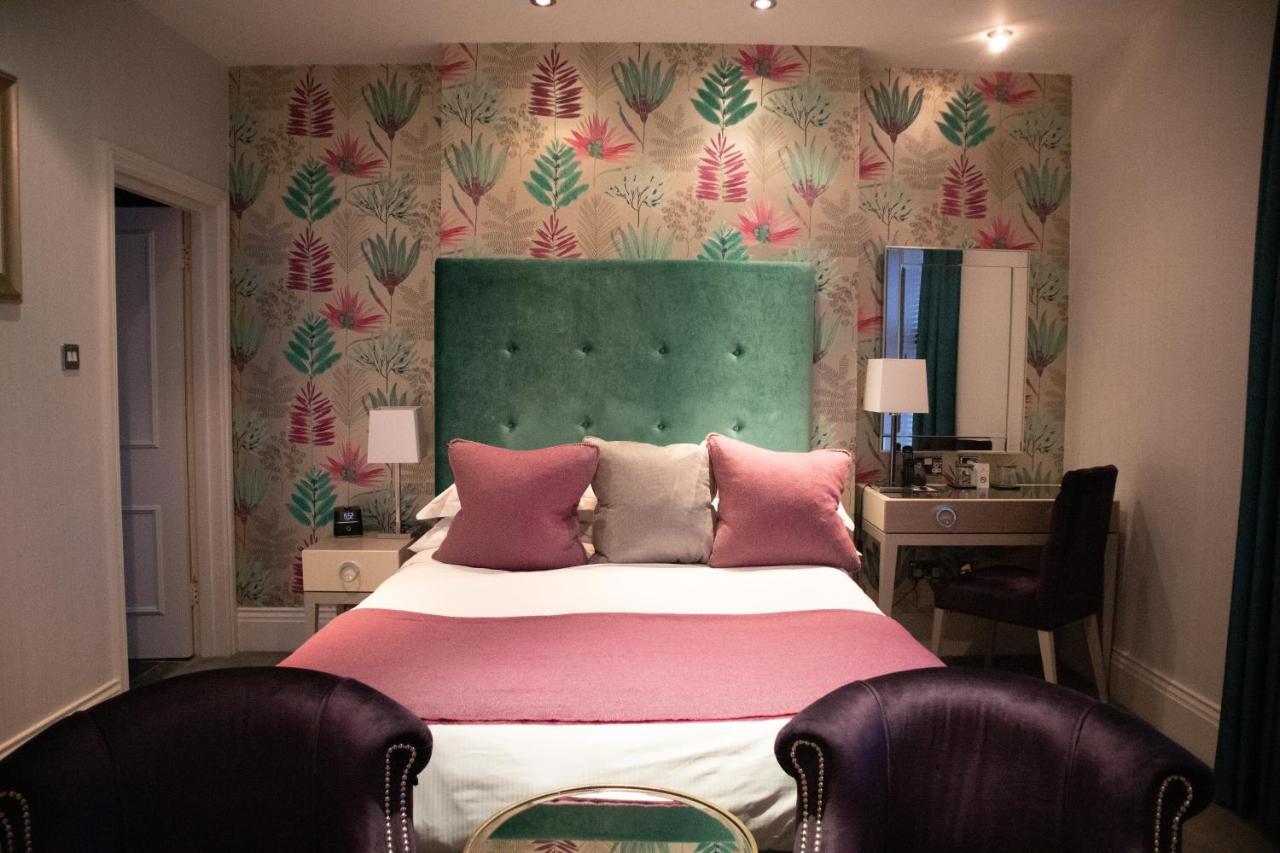 Comfy King Room