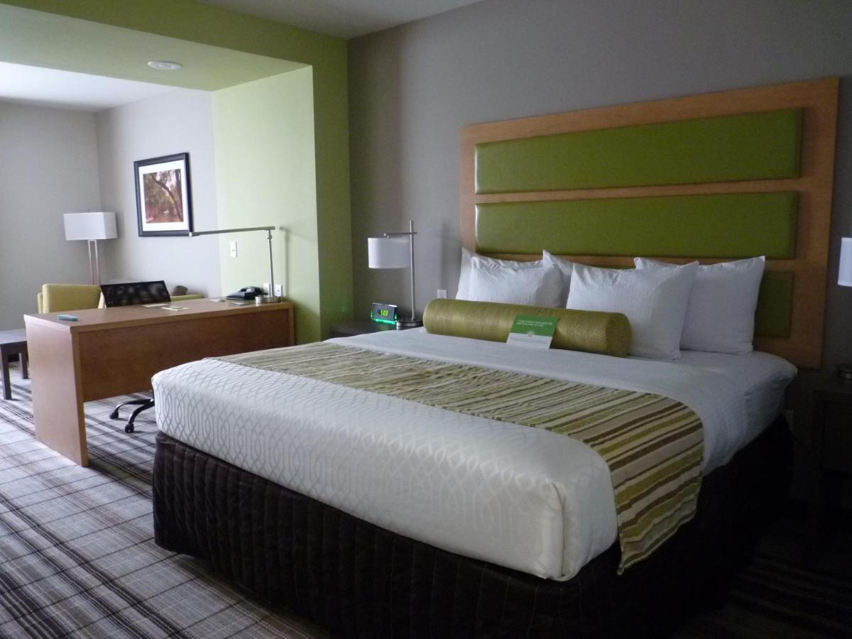 Executive King Room Sofa Bed