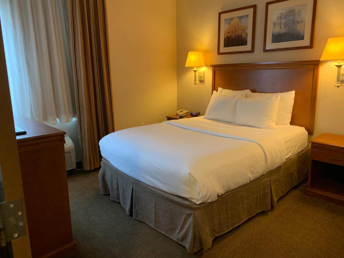 One-Bedroom Suite
