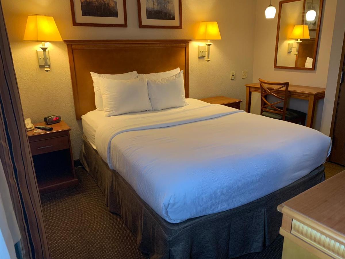 One-Bedroom Suite