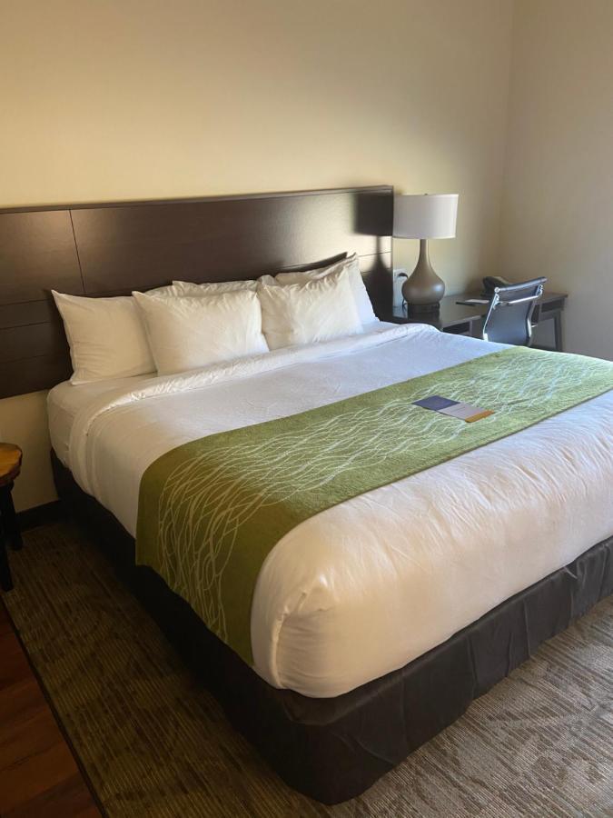 King Room - Accessible/Non-Smoking