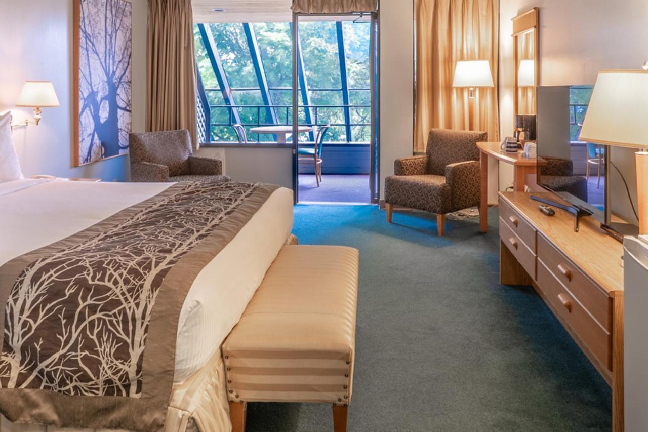 Queen Room Balcony NOT Pet Friendly