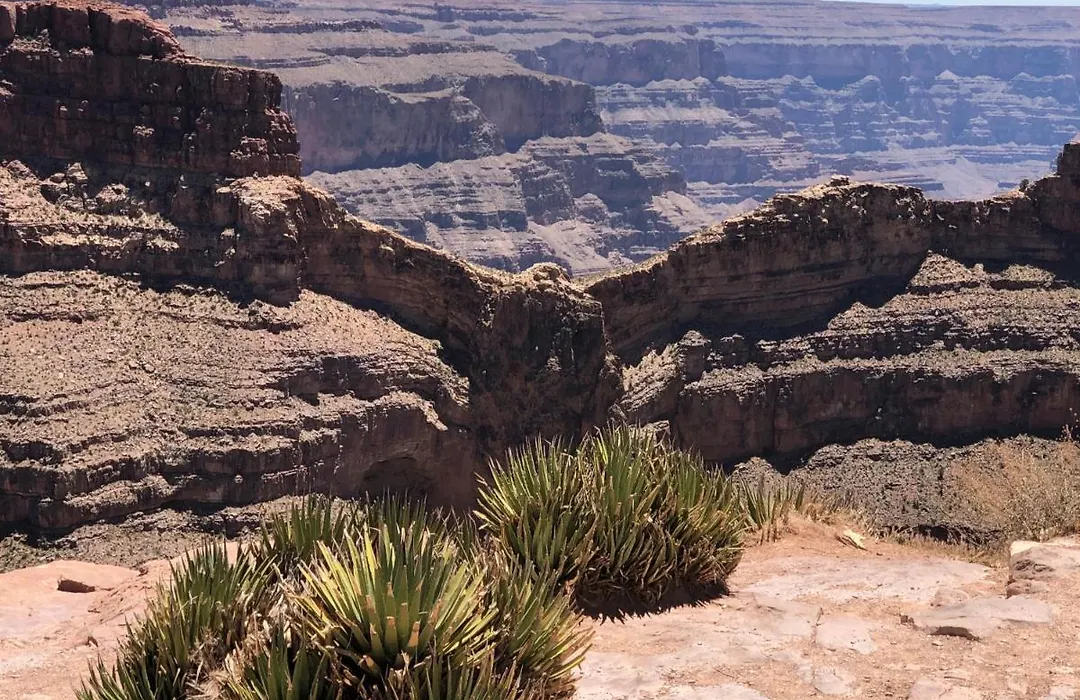 Cabins At Grand Canyon West-1