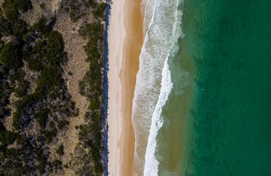 The Surfside Beaumaris-1