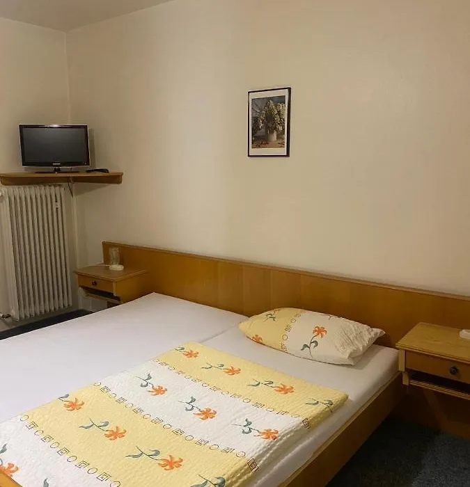 Grüne Au Hotel-1