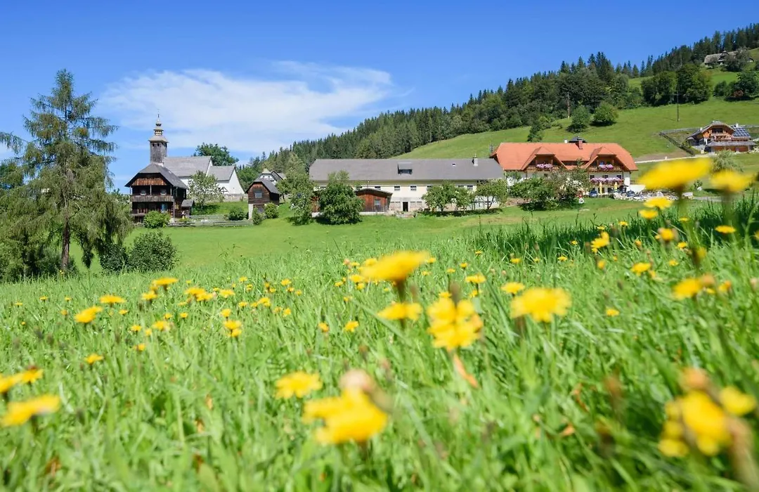 Alpengasthof Moser-1