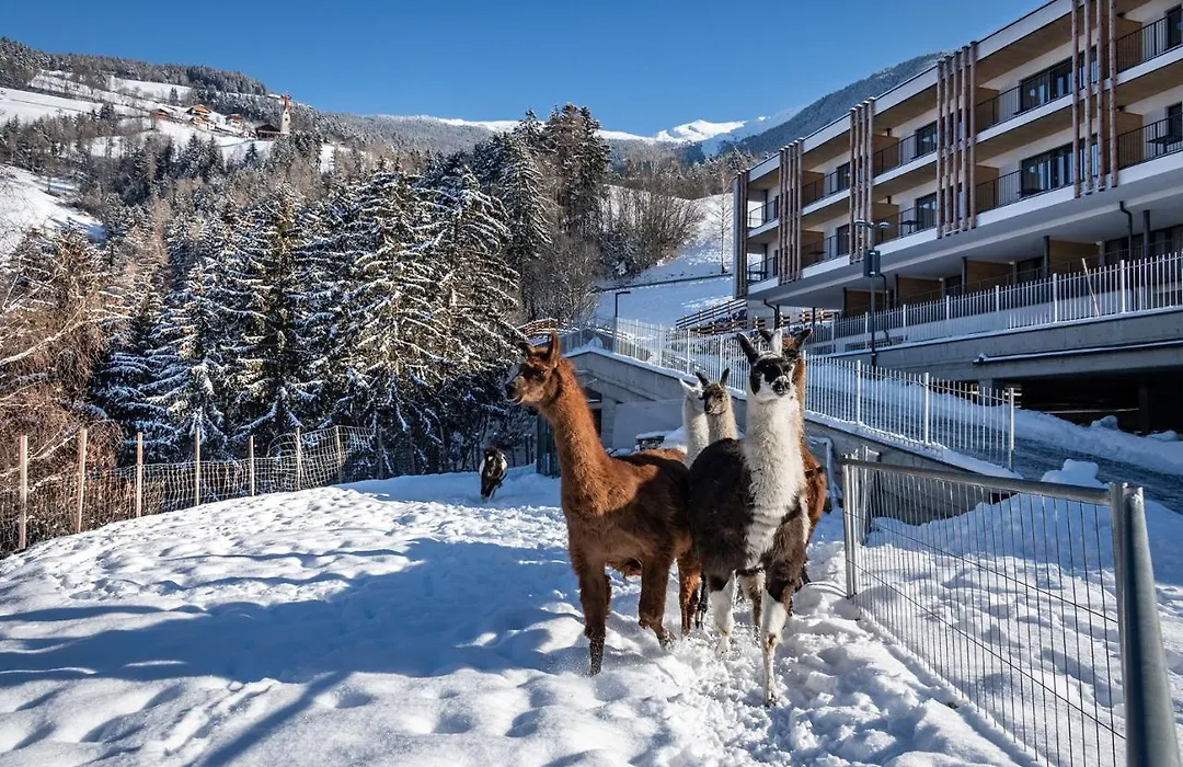 Hotel Torgglerhof-1