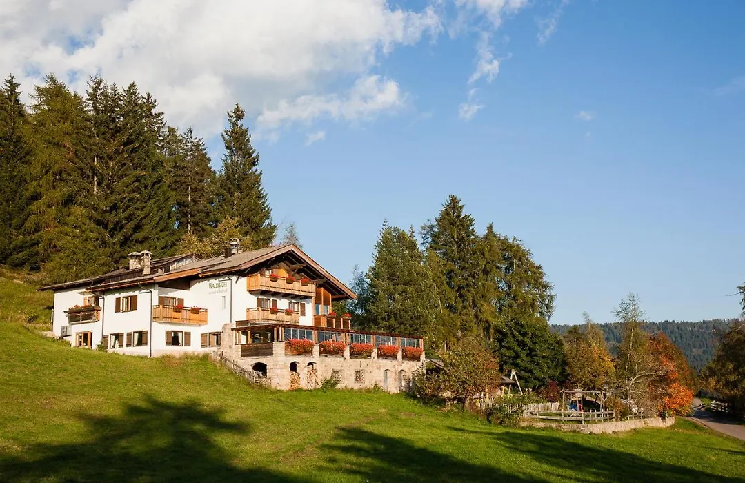 Hotel Restaurant Waldbichl-1