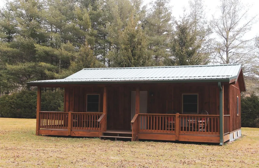 The Pineola-1