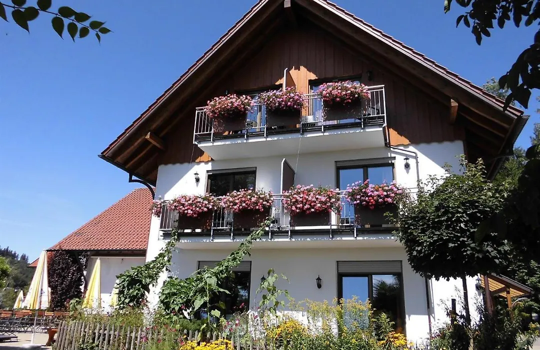 Gasthof Grüner Baum Kongo-1