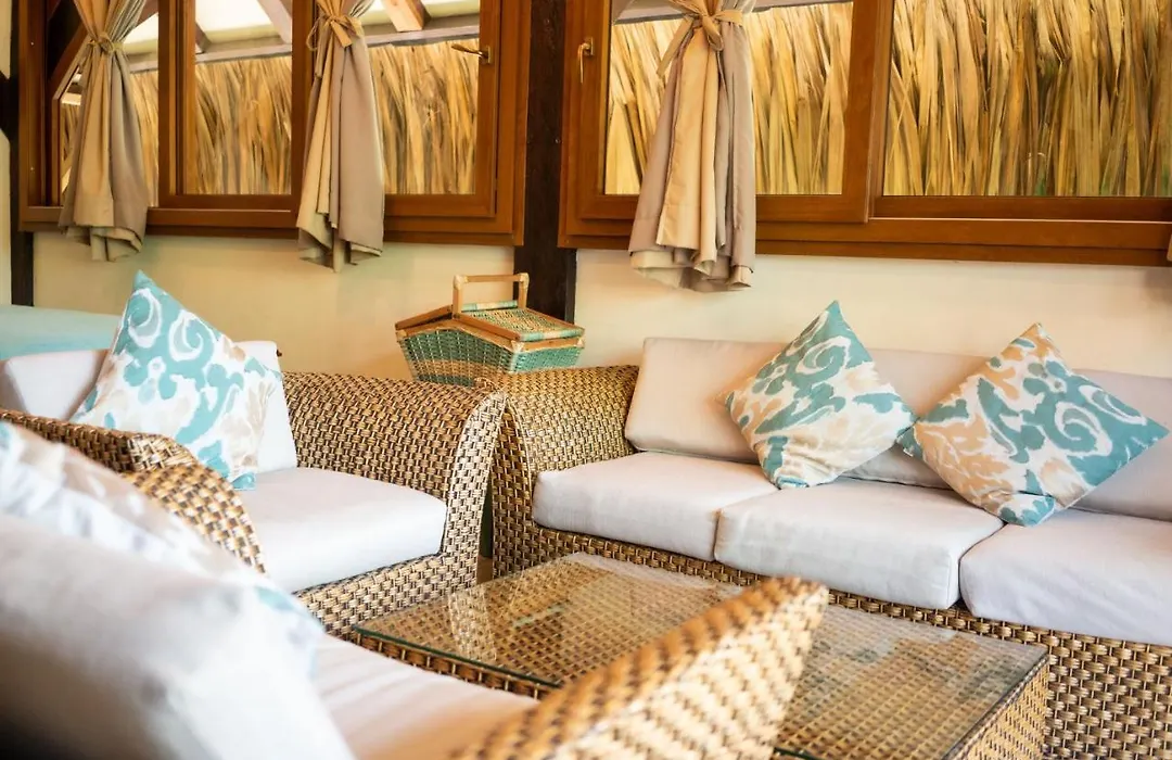 Cayena By Masaya Collection-1
