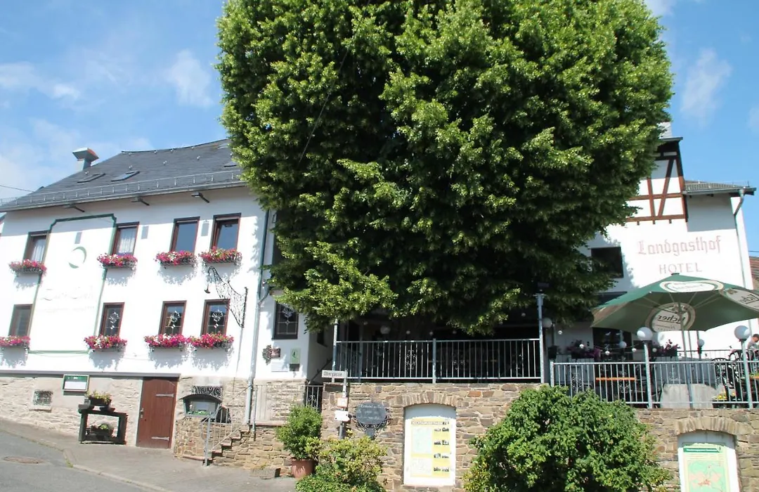 Landgasthof Hotel Zur Linde im Taunus-1