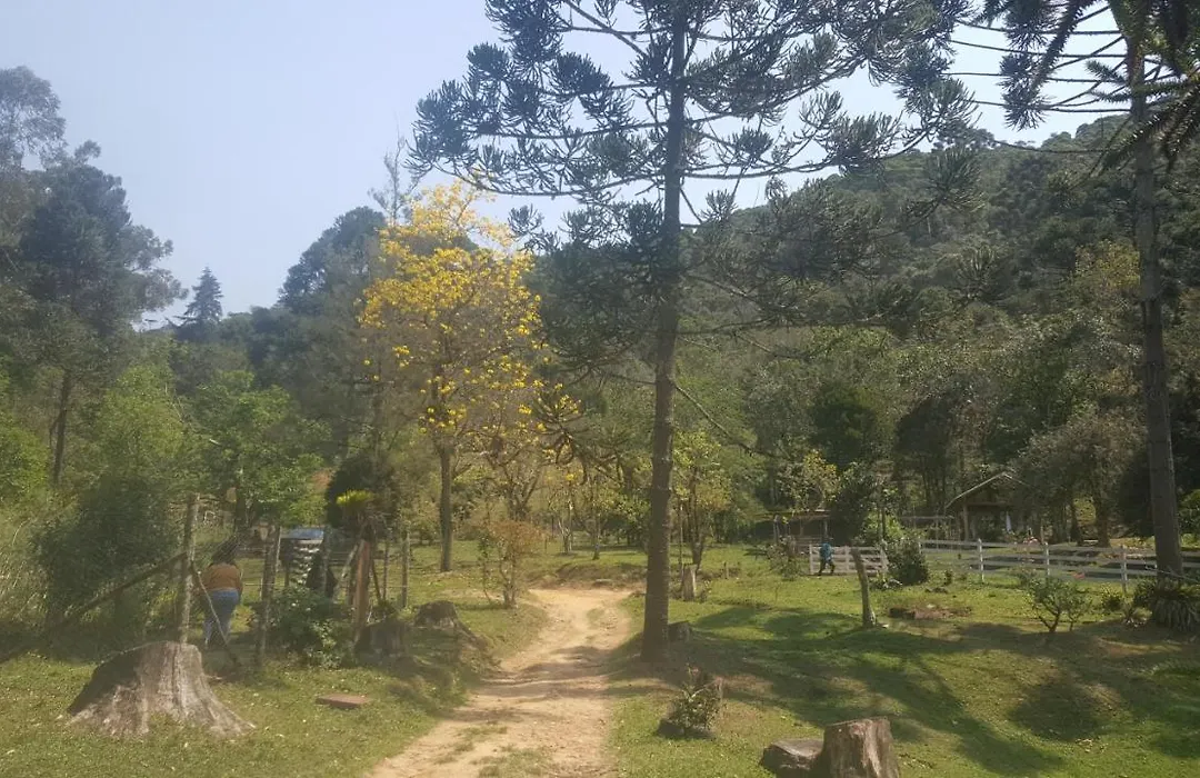 Cabanas da Fazenda-1