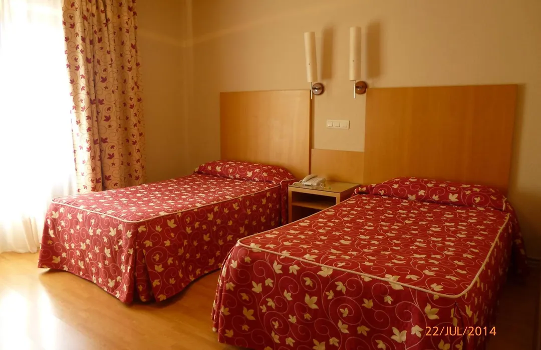 Hotel Alisa-1