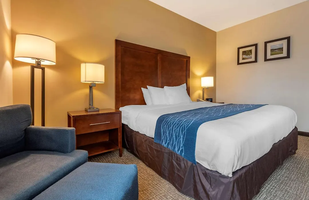 Comfort Inn Apalachin - Binghamton W Route 17-1