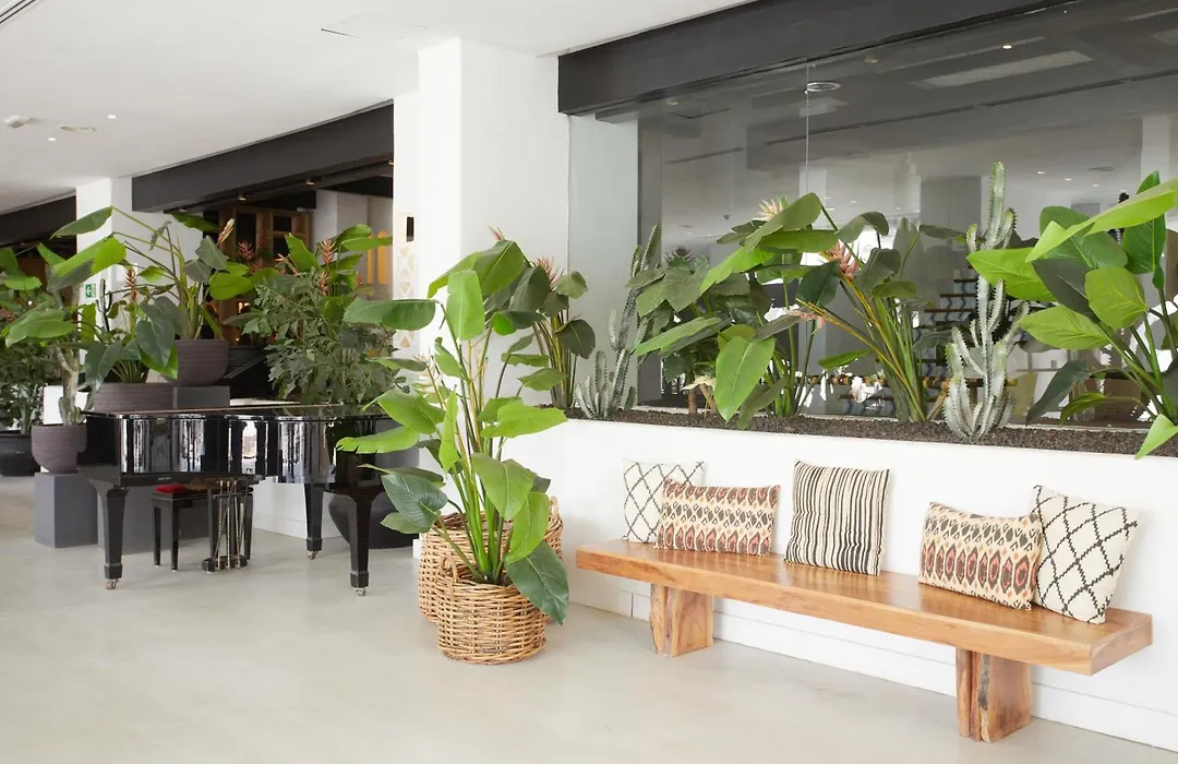 Hyatt Ziva Jardin Tropical Tenerife-1